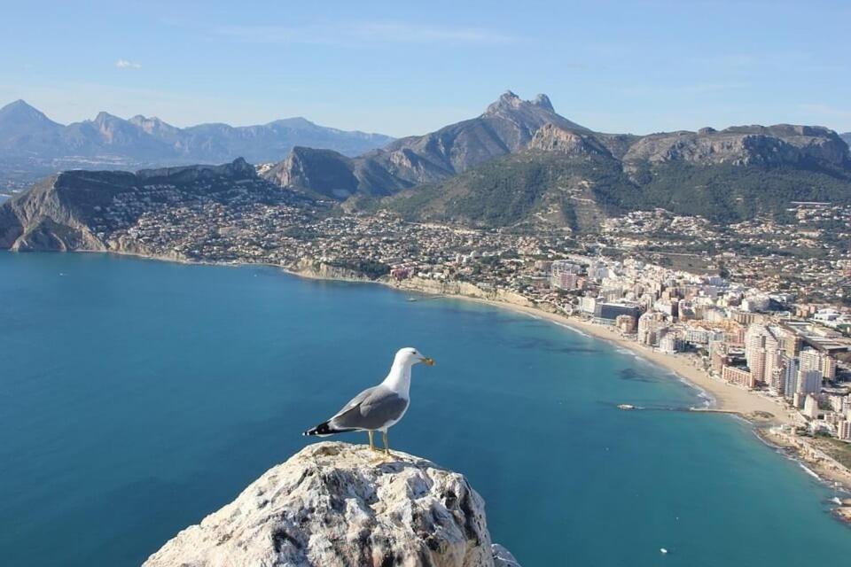 Apartamento Arenal 5 - Plusholidays Calpe Eksteriør bilde